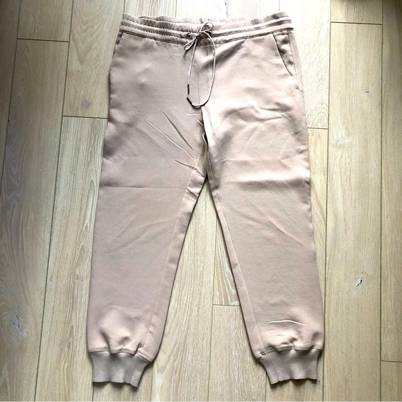 Aritzia Wilfred Beige Buffon Crepe Dressy Jogger Pants Made of Japanese Fabric - Picture 2 of 12